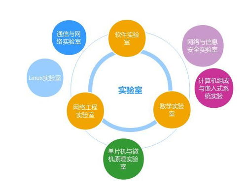 網(wǎng)絡(luò)如山勤思為徑，信息似海安全作舟——浙師教授談網(wǎng)絡(luò)工程與網(wǎng)絡(luò)安全專業(yè)